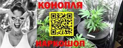 мяу мяу мука Малгобек