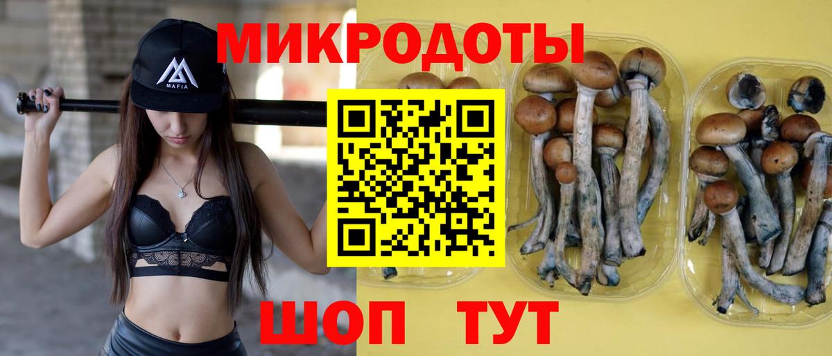Галлюциногенные грибы мухоморы Гулькевичи